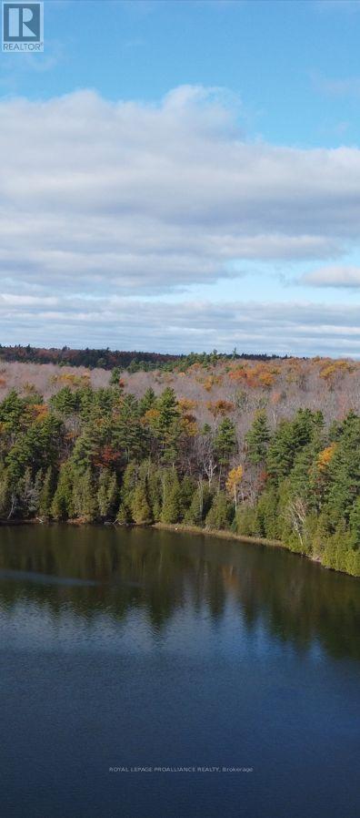 1070 Perry Lane - Lot 1 Lane, North Frontenac, Ontario  K0H 1K0 - Photo 4 - X12598094
