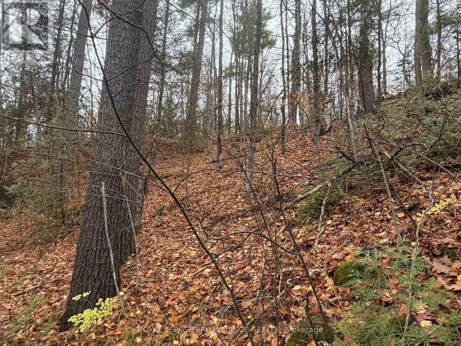 1070 Perry Lane - Lot 1 Lane, North Frontenac, Ontario  K0H 1K0 - Photo 6 - X12598094