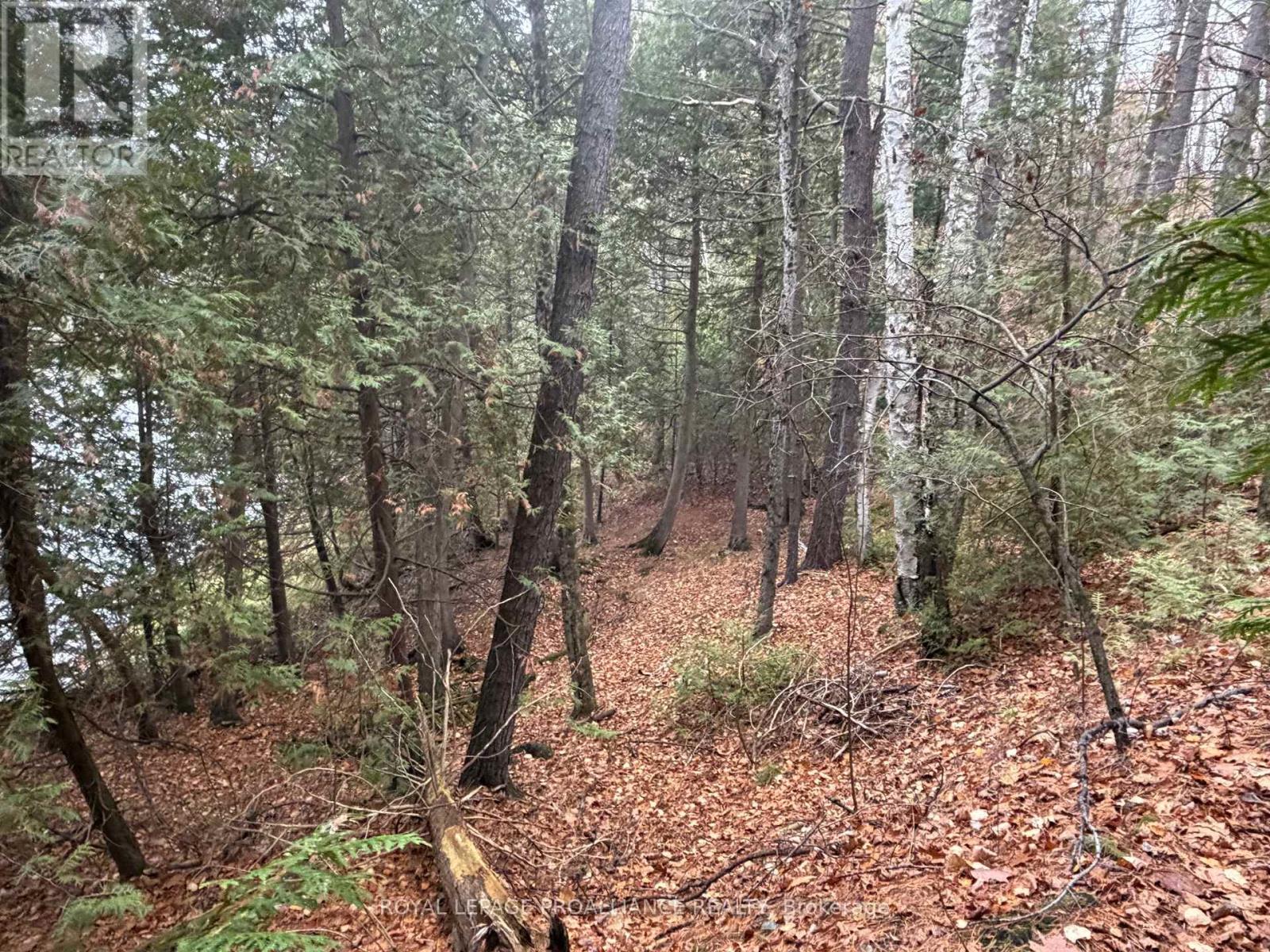 1070 Perry Lane - Lot 1 Lane, North Frontenac, Ontario  K0H 1K0 - Photo 7 - X12598094