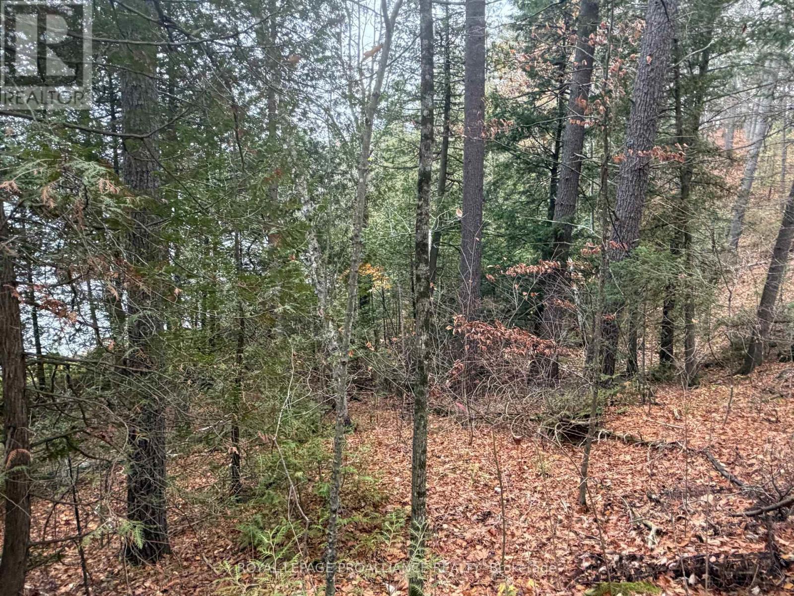 1070 Perry Lane - Lot 1 Lane, North Frontenac, Ontario  K0H 1K0 - Photo 8 - X12598094