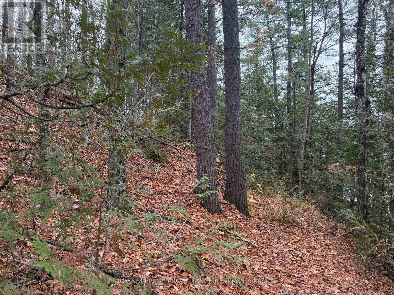 1070 Perry Lane - Lot 1 Lane, North Frontenac, Ontario  K0H 1K0 - Photo 9 - X12598094