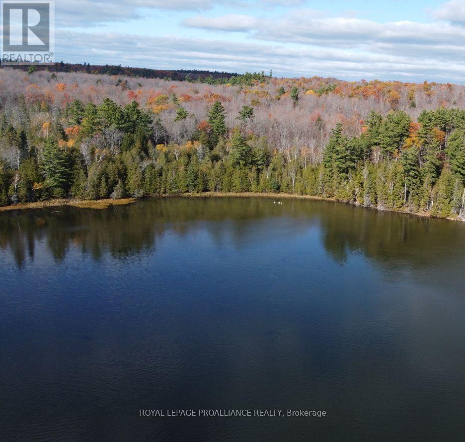 1070 Perry Lane - Lot 2 Lane, North Frontenac, Ontario  K0H 1K0 - Photo 10 - X12598096