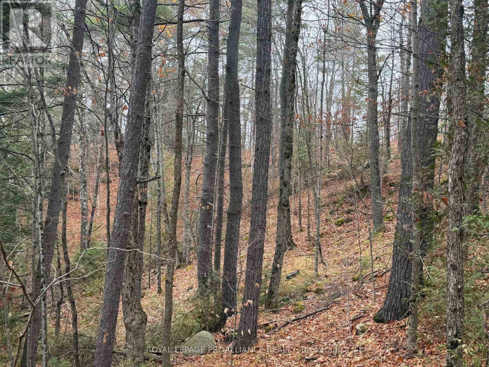 1070 Perry Lane - Lot 2 Lane, North Frontenac, Ontario  K0H 1K0 - Photo 11 - X12598096