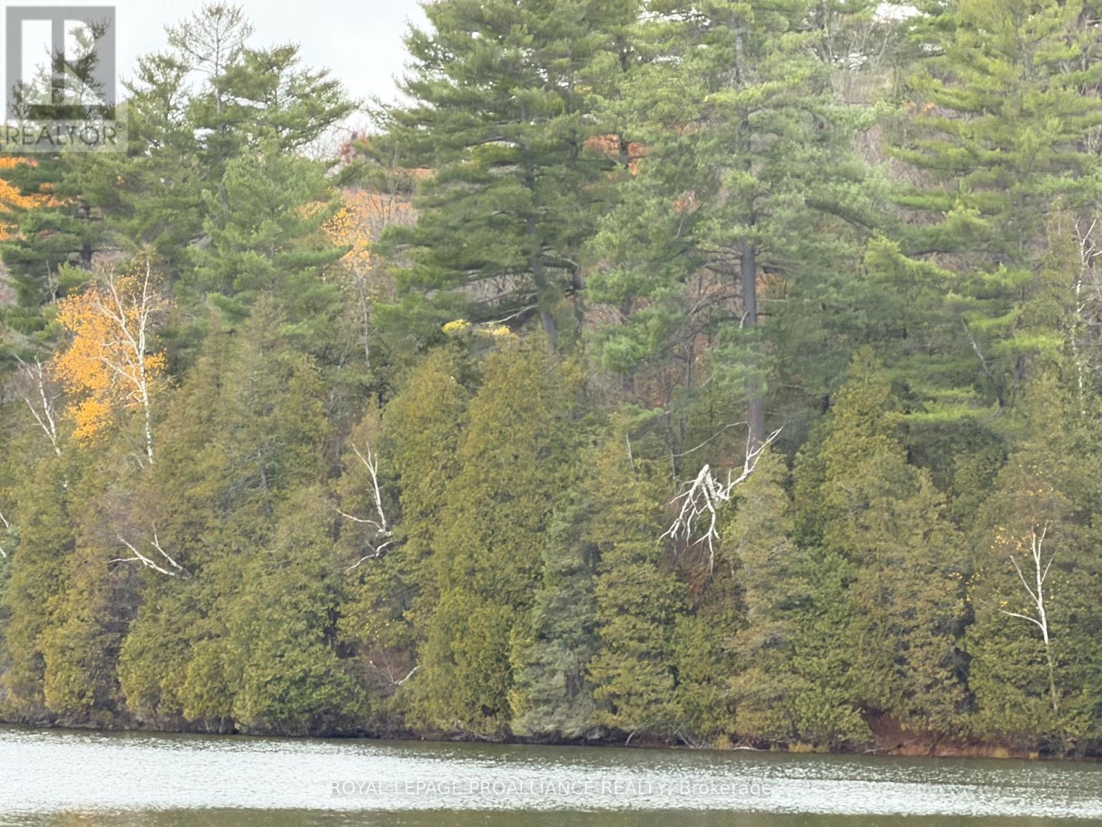 1070 Perry Lane - Lot 2 Lane, North Frontenac, Ontario  K0H 1K0 - Photo 14 - X12598096