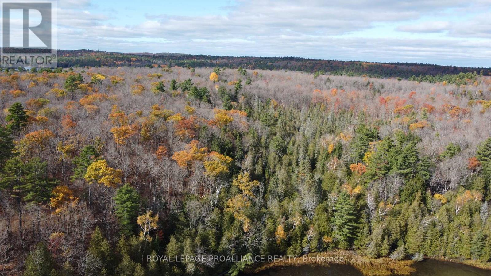 1070 Perry Lane - Lot 2 Lane, North Frontenac, Ontario  K0H 1K0 - Photo 5 - X12598096