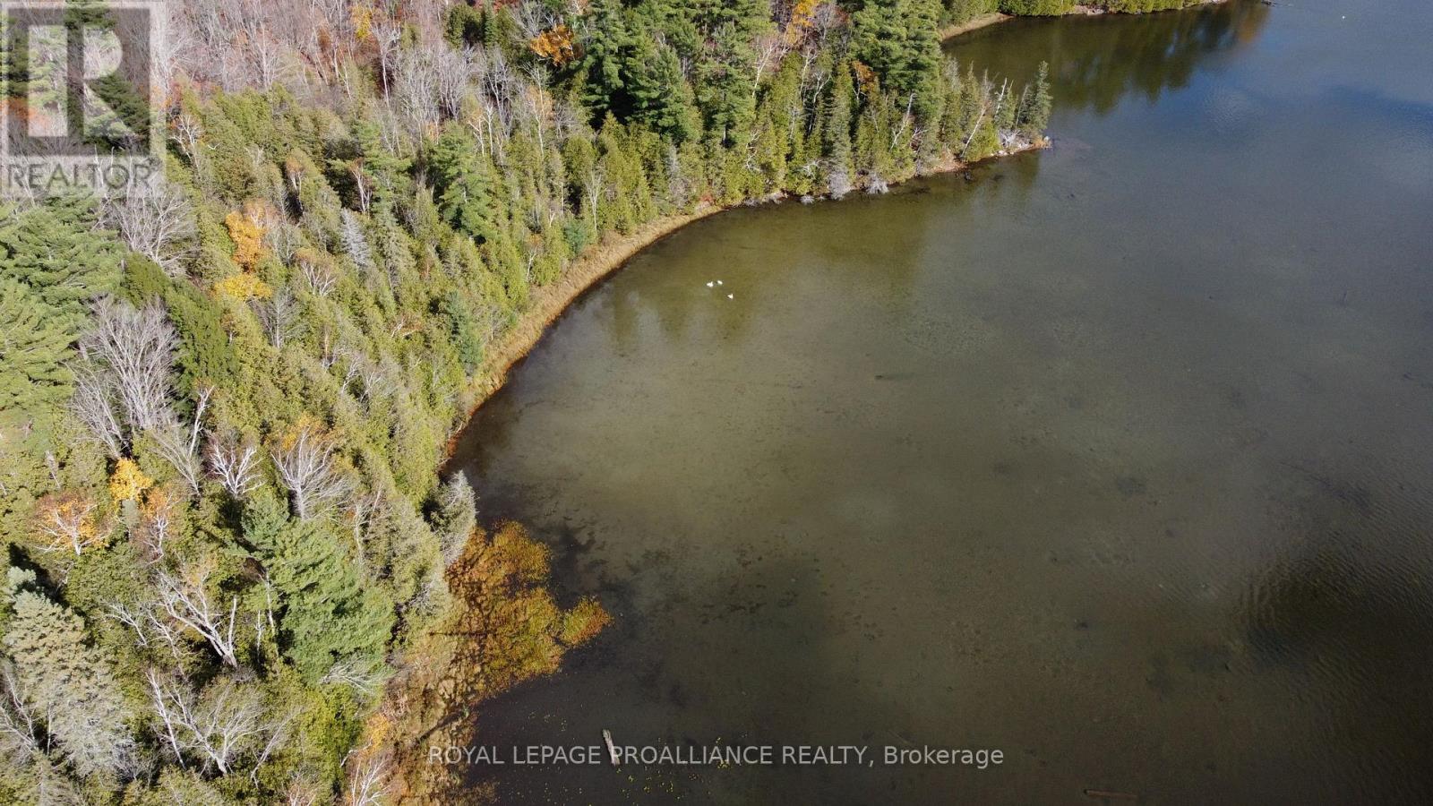 1070 Perry Lane - Lot 2 Lane, North Frontenac, Ontario  K0H 1K0 - Photo 6 - X12598096