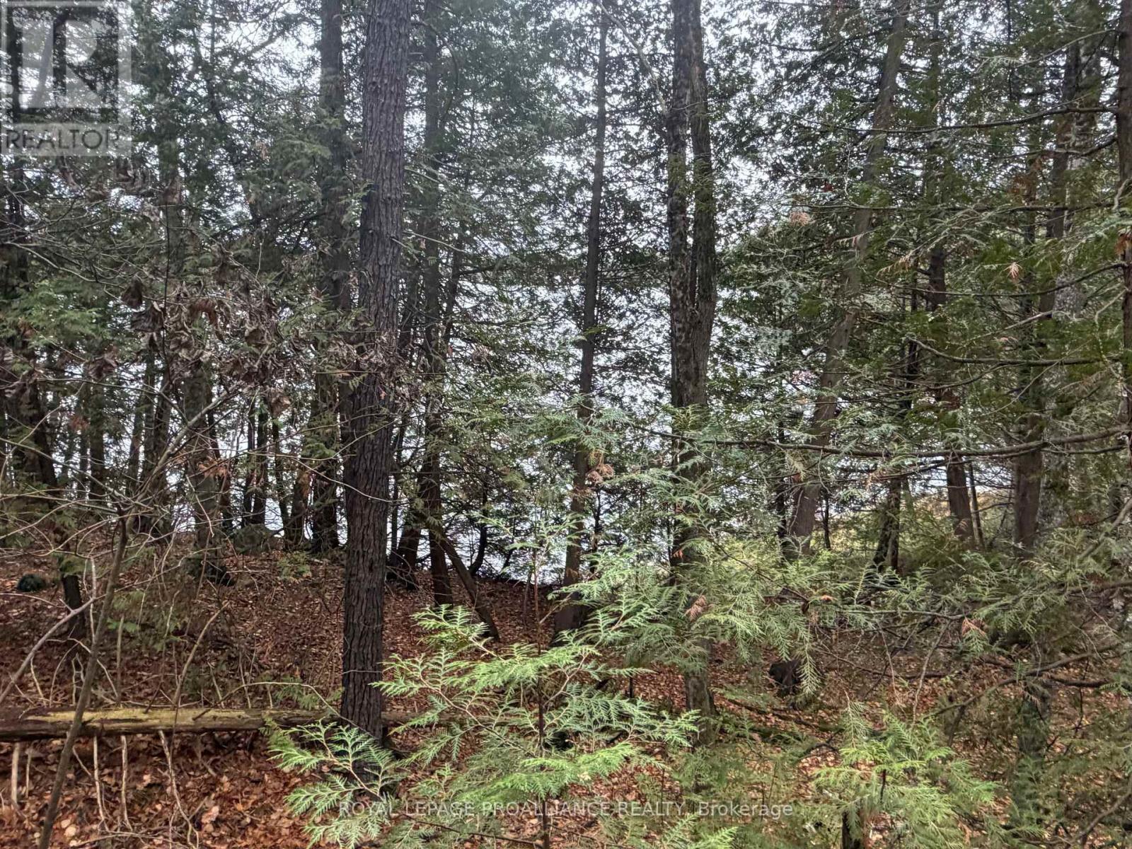 1070 Perry Lane - Lot 3 Lane, North Frontenac, Ontario  K0H 1K0 - Photo 10 - X12598102