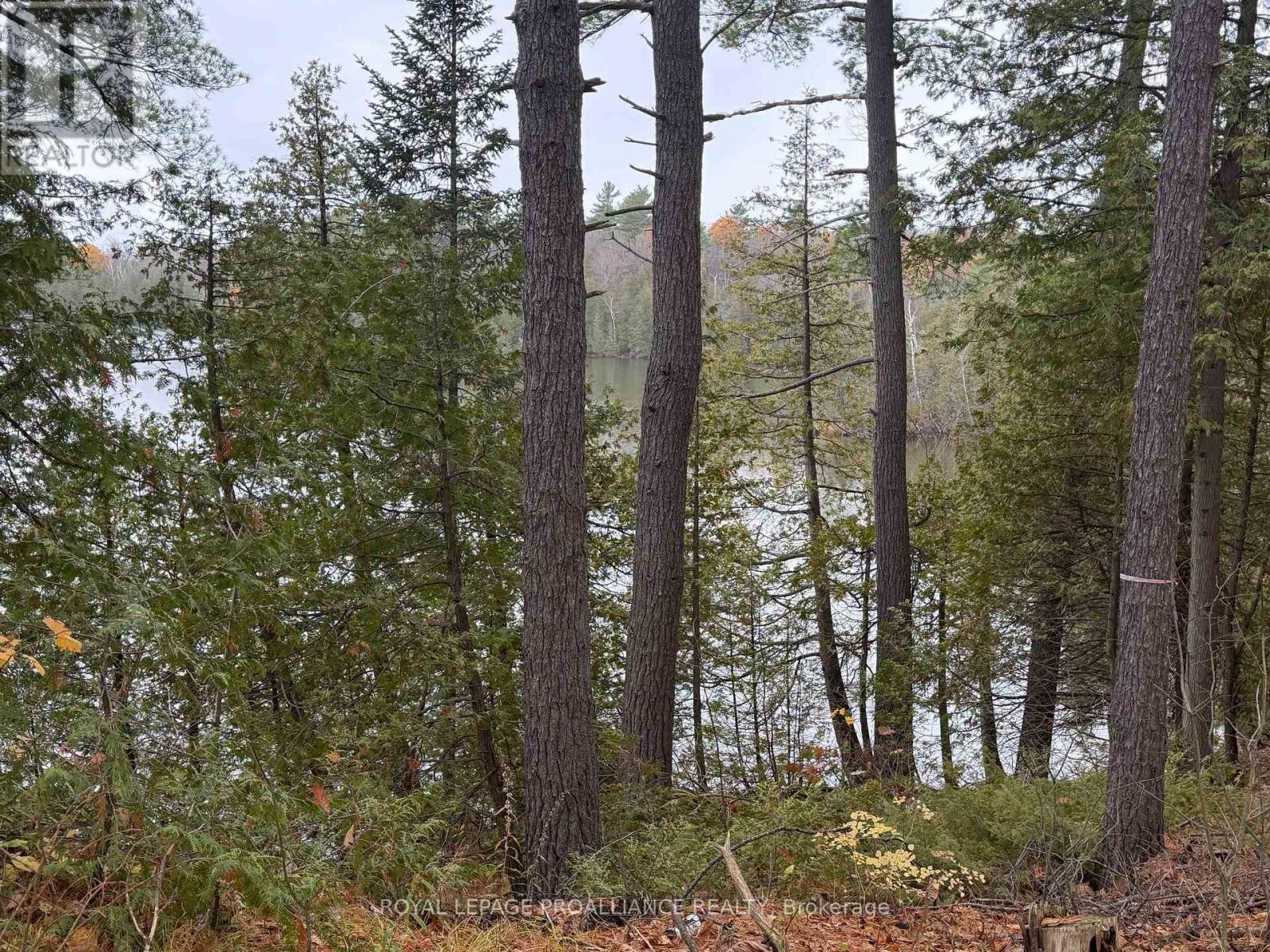 1070 Perry Lane - Lot 3 Lane, North Frontenac, Ontario  K0H 1K0 - Photo 11 - X12598102