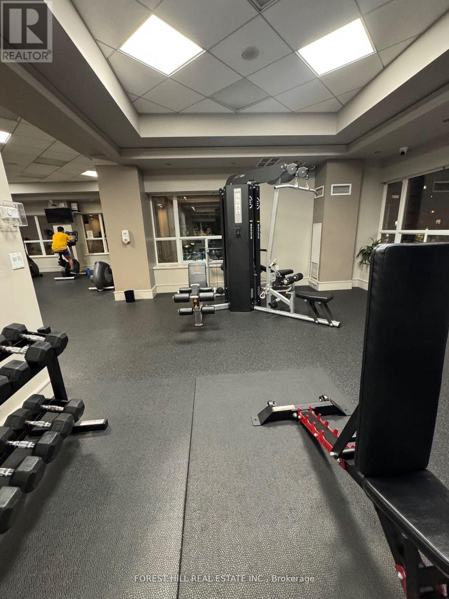 203 - 909 Bay Street, Toronto, Ontario  M5S 3G2 - Photo 21 - C12597920