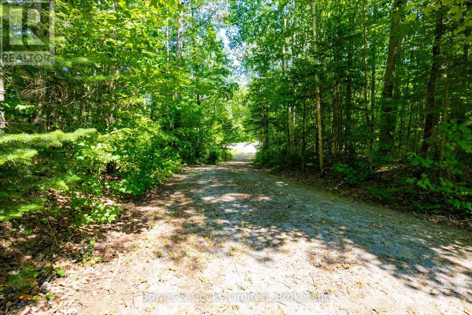 12916 Highway 28, North Kawartha, Ontario  K0L 1A0 - Photo 14 - X12320091