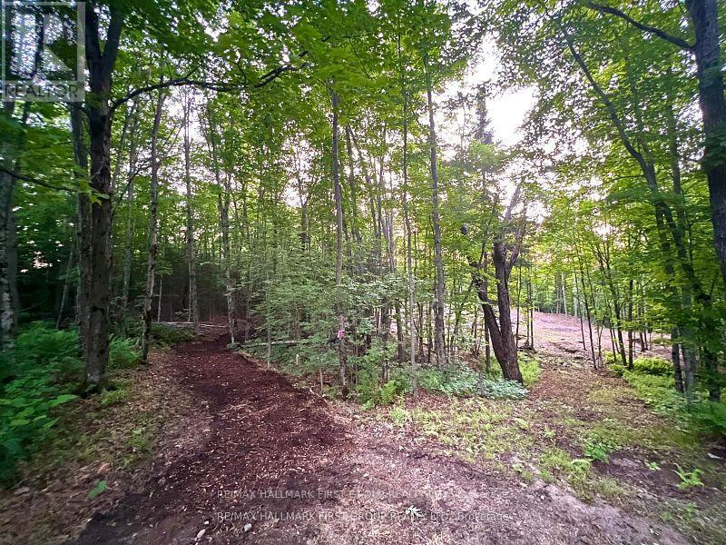 678 Centreview Road, Hastings Highlands, Ontario  K0J 1L0 - Photo 12 - X12449486