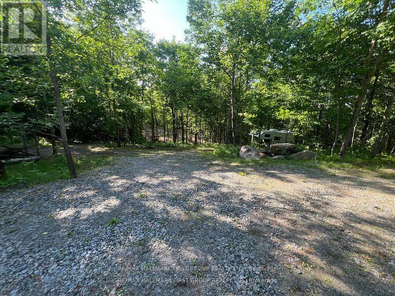 678 Centreview Road, Hastings Highlands, Ontario  K0J 1L0 - Photo 3 - X12449486