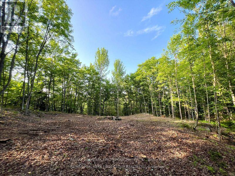 678 Centreview Road, Hastings Highlands, Ontario  K0J 1L0 - Photo 16 - X12449486