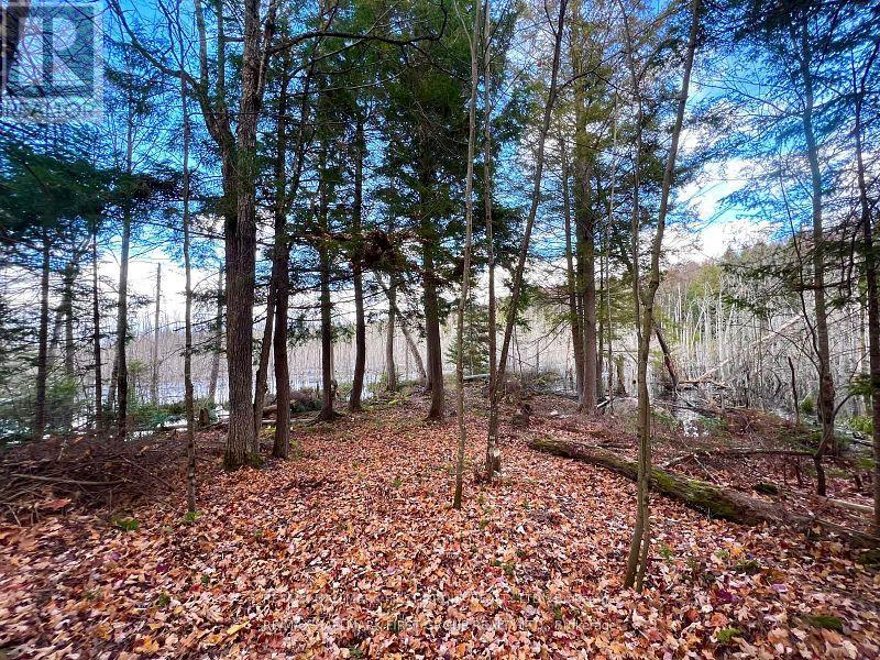 678 Centreview Road, Hastings Highlands, Ontario  K0J 1L0 - Photo 23 - X12449486