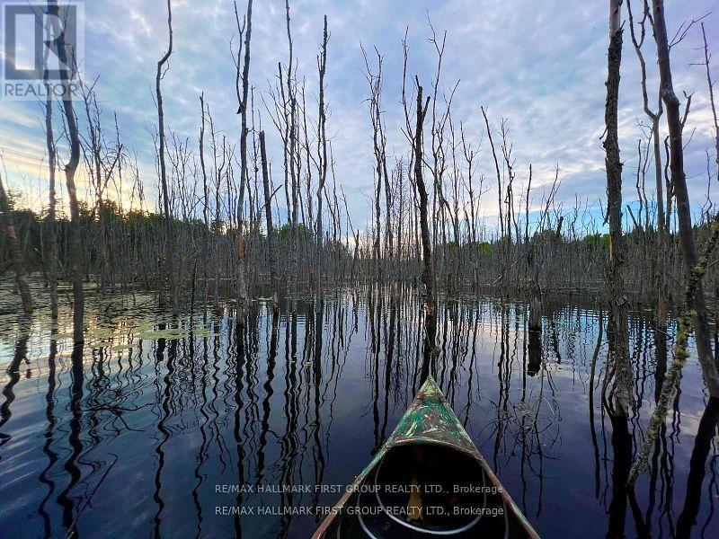 678 Centreview Road, Hastings Highlands, Ontario  K0J 1L0 - Photo 24 - X12449486