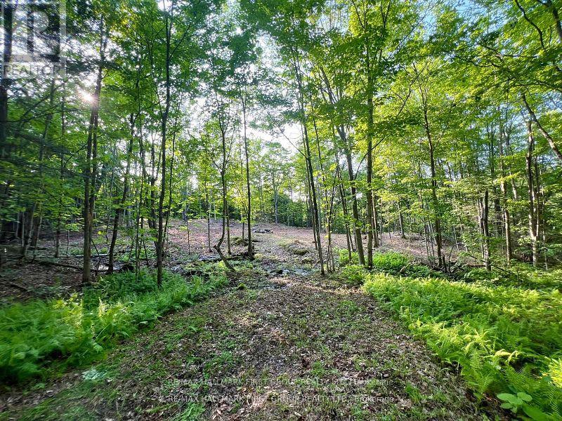 678 Centreview Road, Hastings Highlands, Ontario  K0J 1L0 - Photo 13 - X12449486