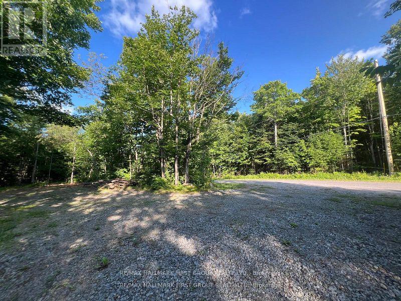 678 Centreview Road, Hastings Highlands, Ontario  K0J 1L0 - Photo 4 - X12449486