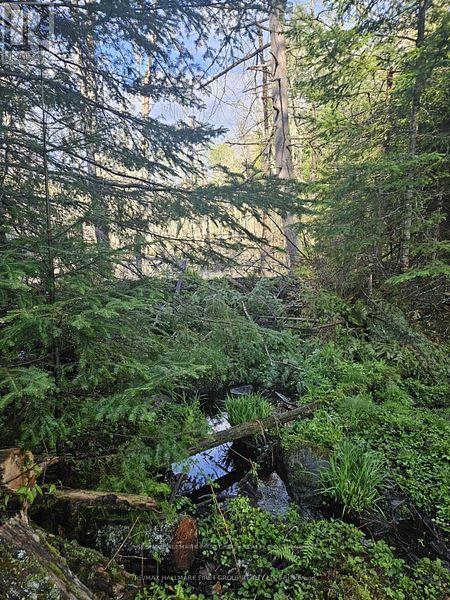 678 Centreview Road, Hastings Highlands, Ontario  K0J 1L0 - Photo 27 - X12449486