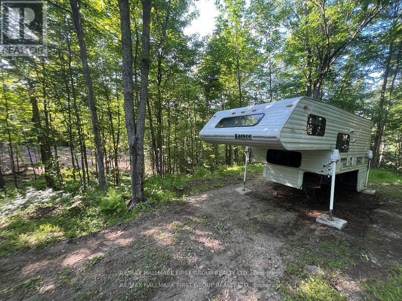 678 Centreview Road, Hastings Highlands, Ontario  K0J 1L0 - Photo 5 - X12449486