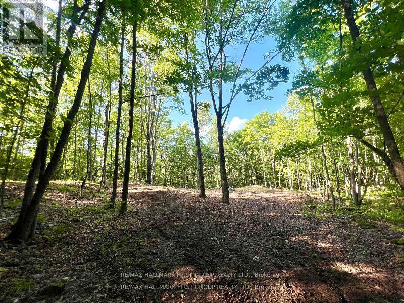 678 Centreview Road, Hastings Highlands, Ontario  K0J 1L0 - Photo 15 - X12449486