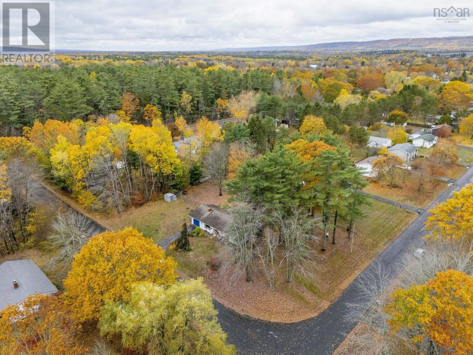 1009 White Pine Drive, Centreville, Nova Scotia B0P 1J0 - Photo 5 - 202527102