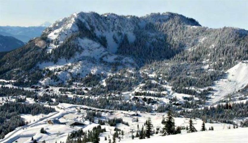 20498 Edelweiss Drive, Mission, British Columbia  V0M 1A1 - Photo 6 - R3070949