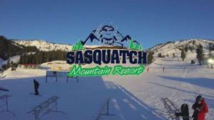 20498 Edelweiss Drive, Mission, British Columbia  V0M 1A1 - Photo 7 - R3070949