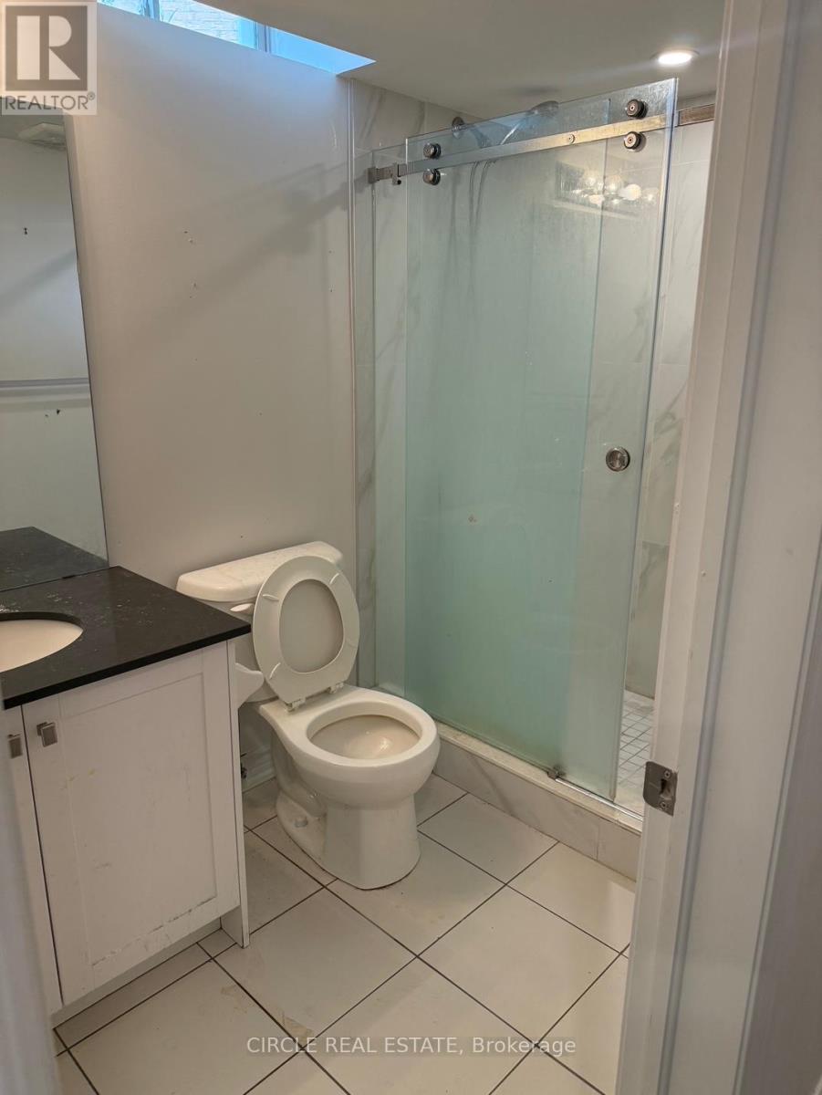 Basement - 36 Geranium Crescent, Brampton, Ontario  L6Y 1N8 - Photo 11 - W12598268