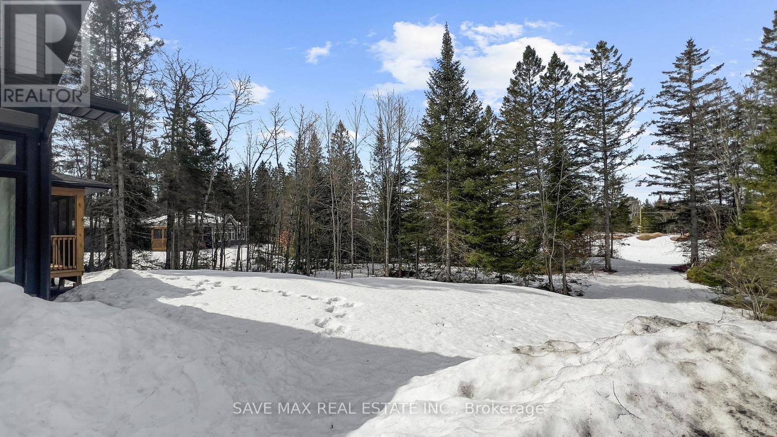 1007 Kingsridge Court, Lake Of Bays (Franklin), Ontario  P1H 0K1 - Photo 47 - X12598214