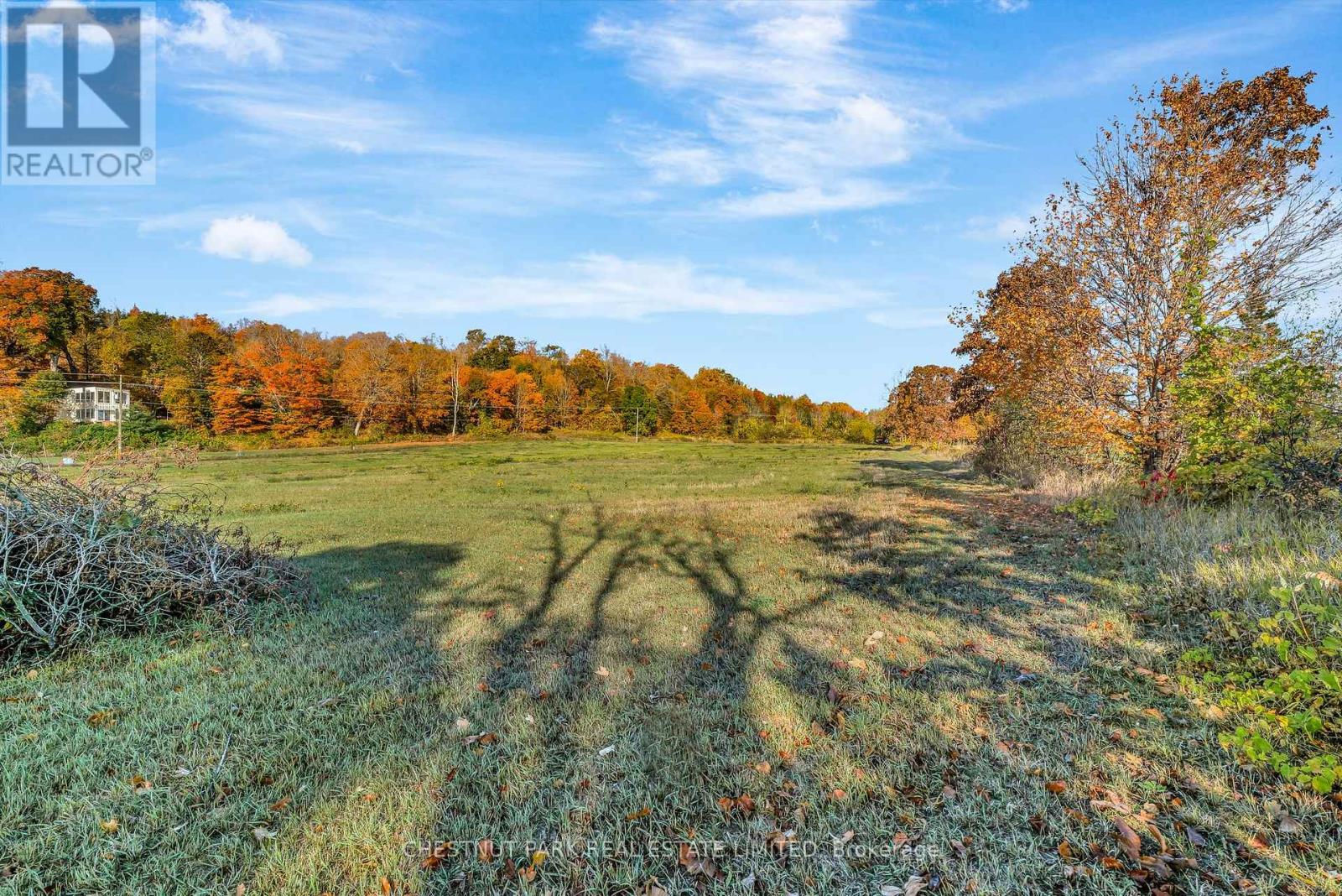 4176 County Road 8, Prince Edward County, Ontario  K0K 2T0 - Photo 21 - X12598364