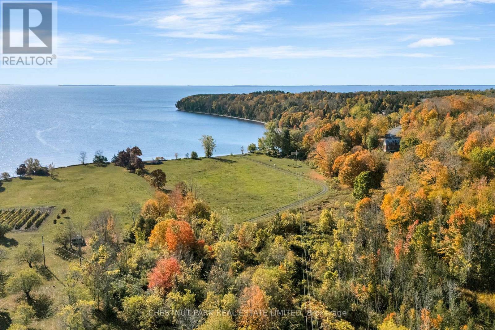 4176 County Road 8, Prince Edward County, Ontario  K0K 2T0 - Photo 4 - X12598364