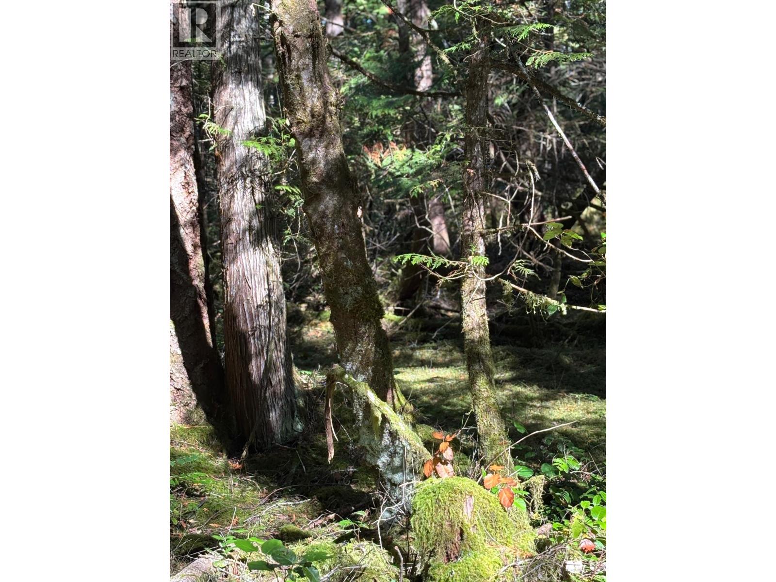 Lot B Porters Road, Pender Harbour, British Columbia  V0N 2H1 - Photo 11 - R3059300