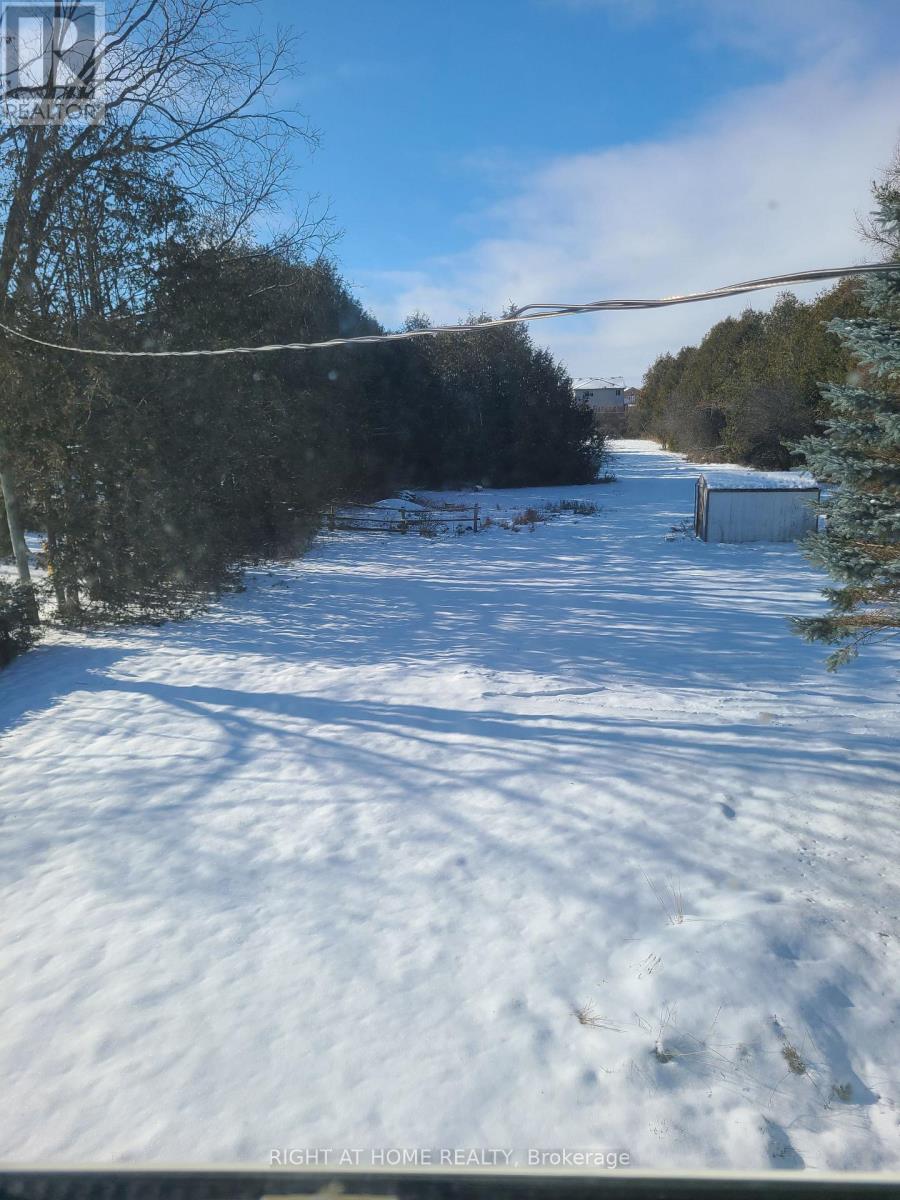 229 Angeline Street S, Kawartha Lakes, Ontario  K9V 4R2 - Photo 4 - X12598420