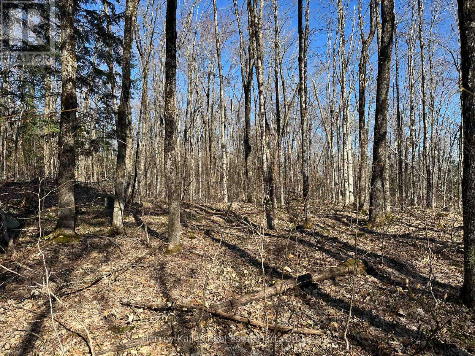 Con 1 Pt Lot 12 Barlochan Road, Muskoka Lakes, Ontario  P1P 1R2 - Photo 14 - X12113749