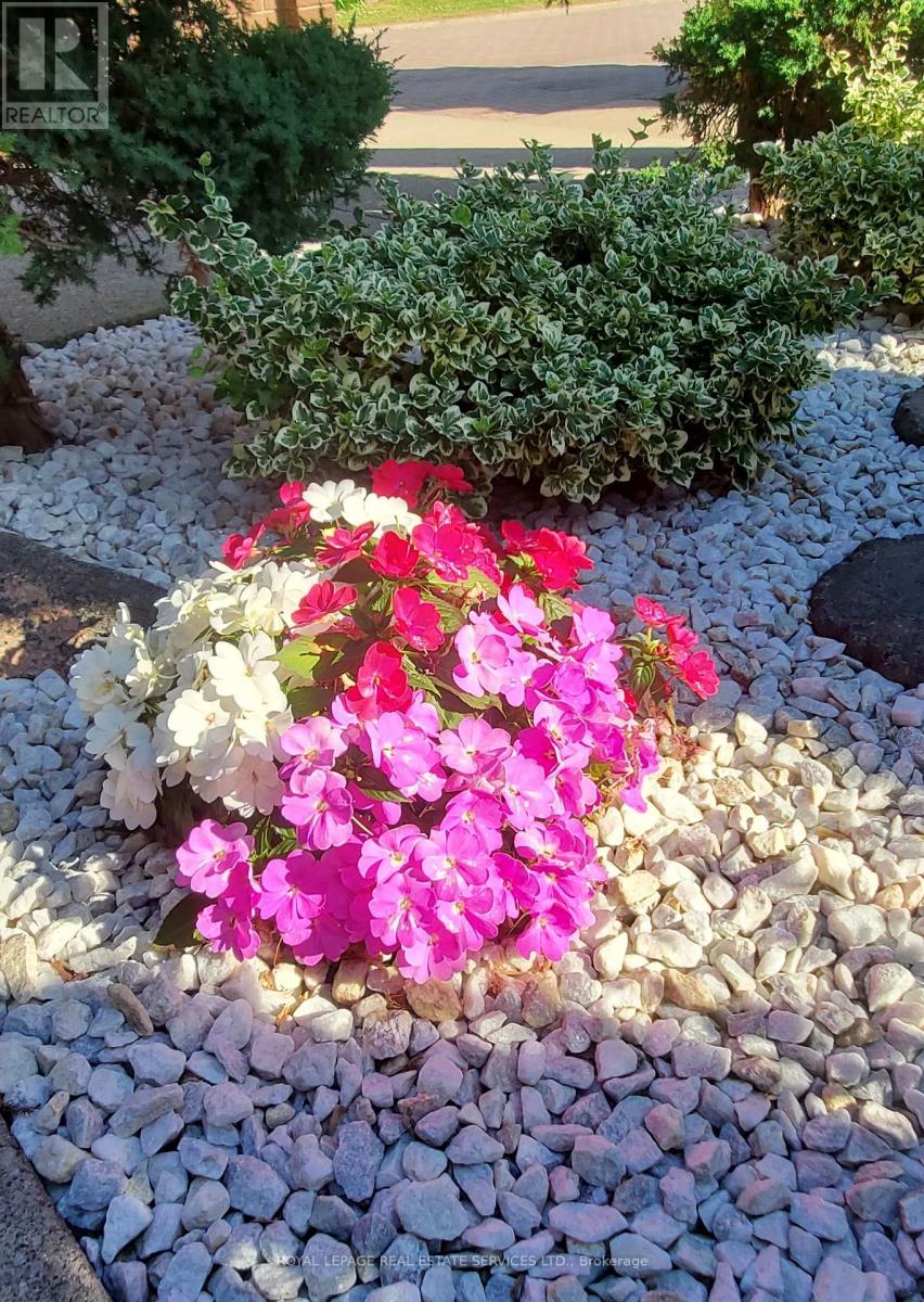 44 Wigwoss Drive, Vaughan, Ontario  L4L 2P8 - Photo 4 - N12598496