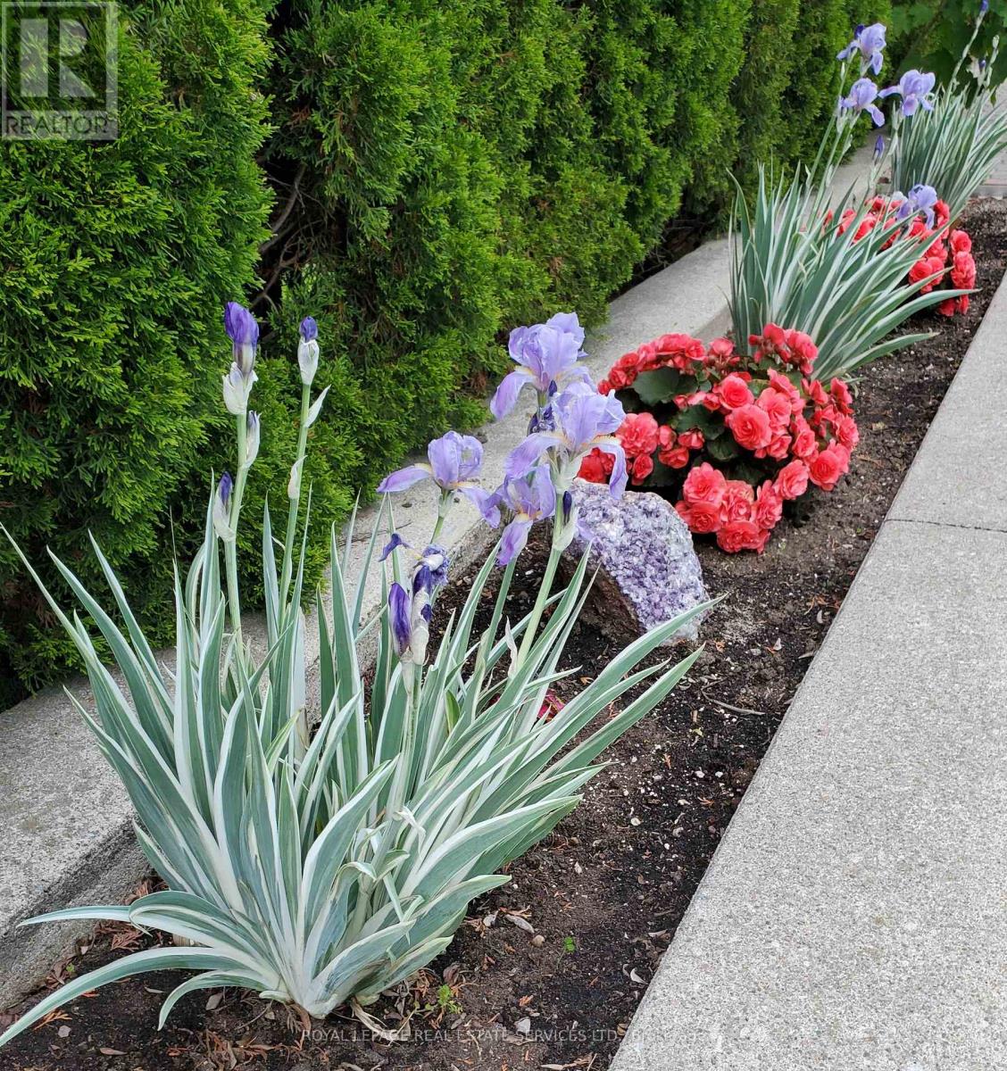 44 Wigwoss Drive, Vaughan, Ontario  L4L 2P8 - Photo 43 - N12598496