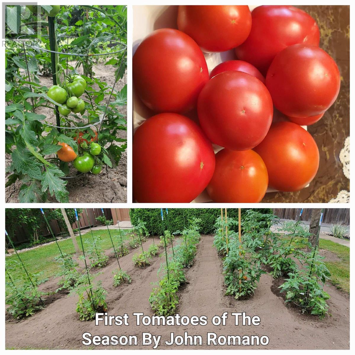 44 Wigwoss Drive, Vaughan, Ontario  L4L 2P8 - Photo 47 - N12598496