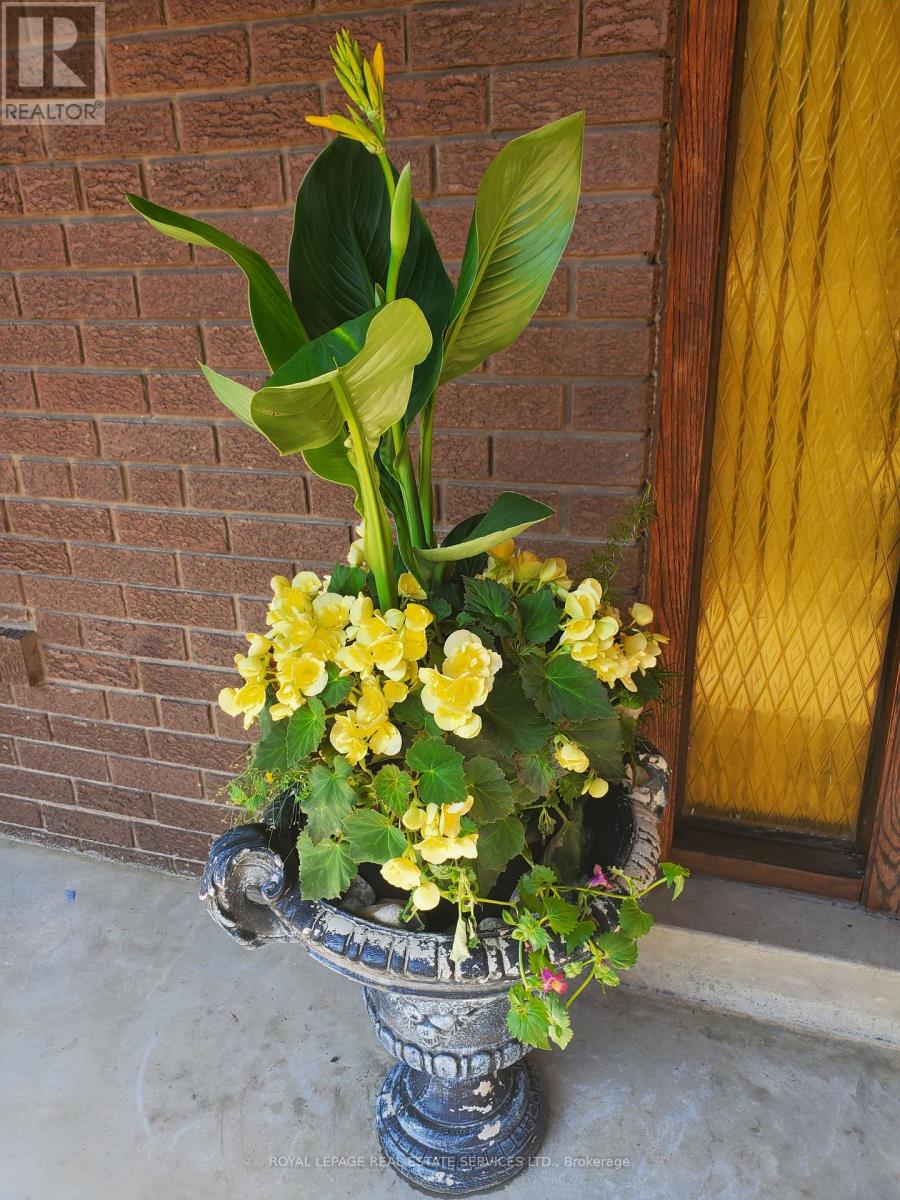 44 Wigwoss Drive, Vaughan, Ontario  L4L 2P8 - Photo 6 - N12598496