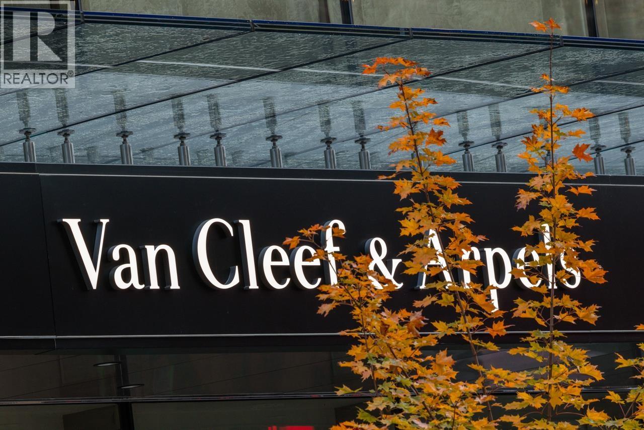 910 1060 Alberni Street, Vancouver, British Columbia  V6E 4K2 - Photo 30 - R3071868