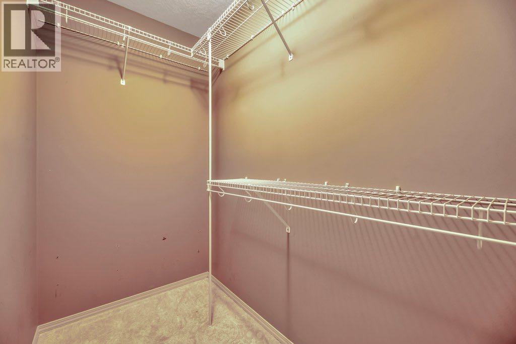 110 West Creek Springs, Chestermere, Alberta  T1X 1N7 - Photo 20 - A2271233