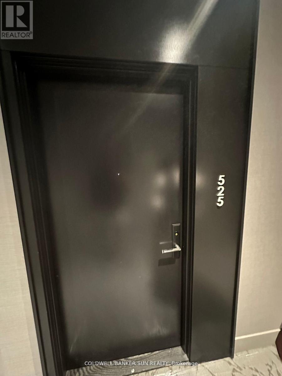525 - 270 Dufferin Street S, Toronto, Ontario  M6K 1Z6 - Photo 4 - W12598728