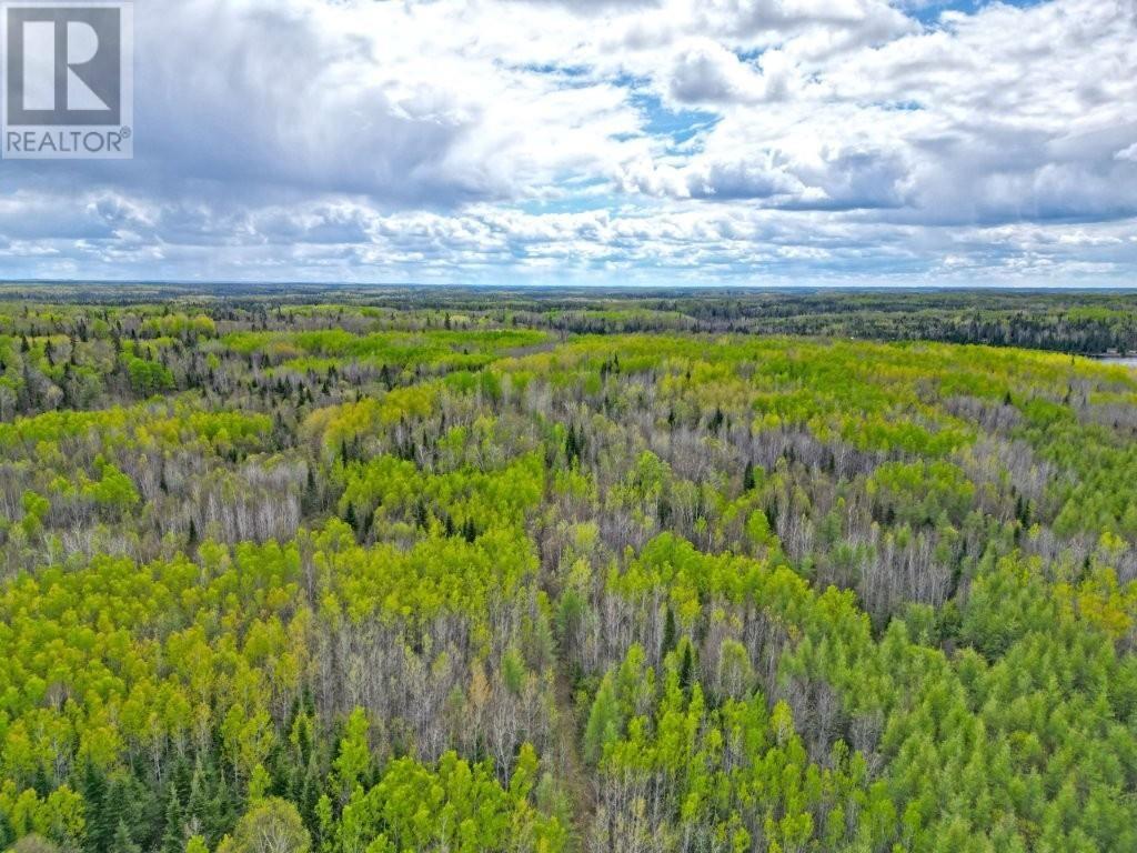 1191 Gonyou Road, Upsala, Ontario  P0T 2Y0 - Photo 13 - TB253606