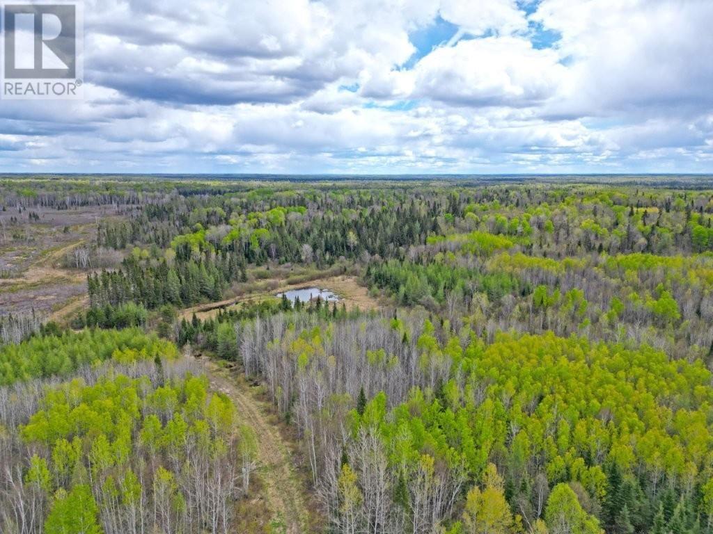 1191 Gonyou Road, Upsala, Ontario  P0T 2Y0 - Photo 2 - TB253606