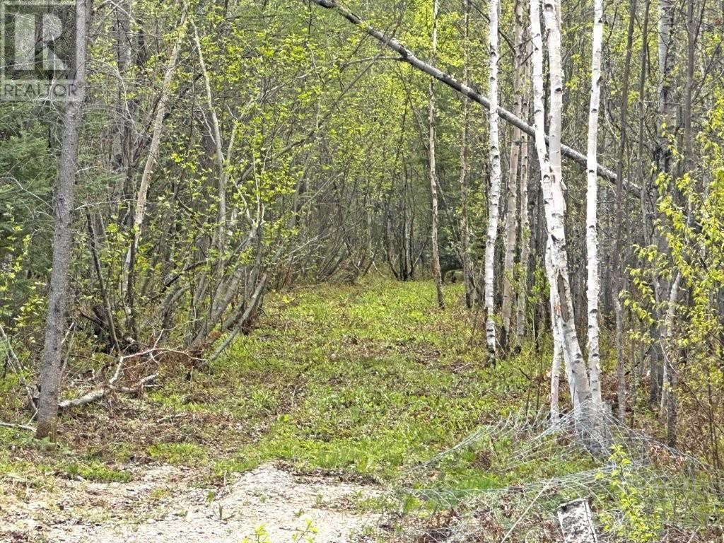 1191 Gonyou Road, Upsala, Ontario  P0T 2Y0 - Photo 27 - TB253606