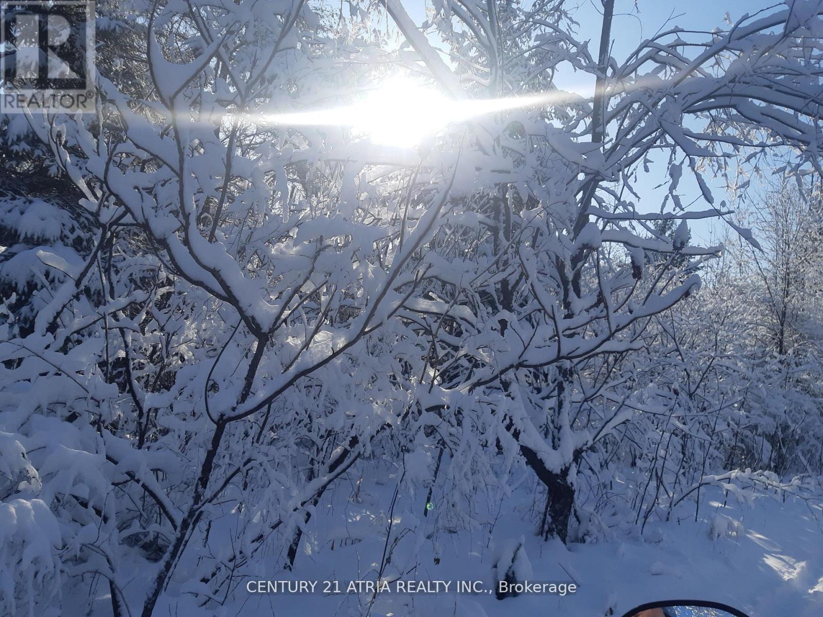 24 - 4 Paradise Boulevard, Ramara, Ontario  L0K 1B0 - Photo 45 - S12598884