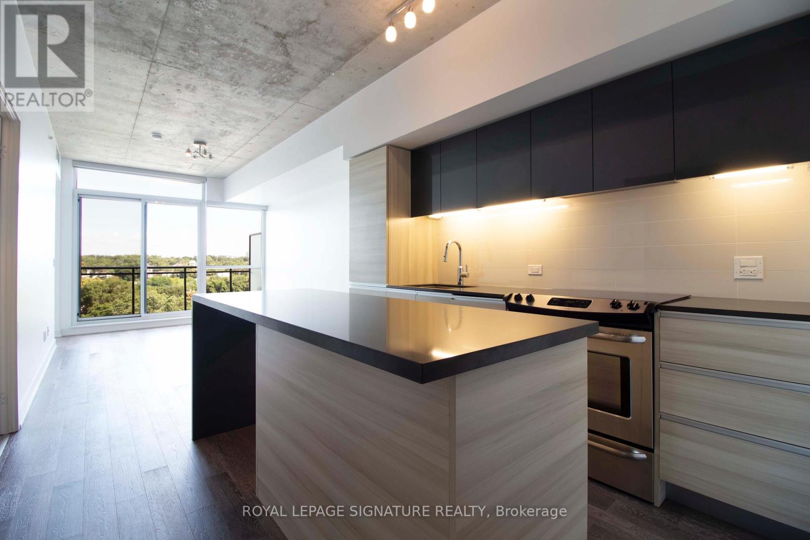 1004 - 1190 Dundas Street E, Toronto (South Riverdale), Ontario  M4M 0C5 - Photo 9 - E12598032