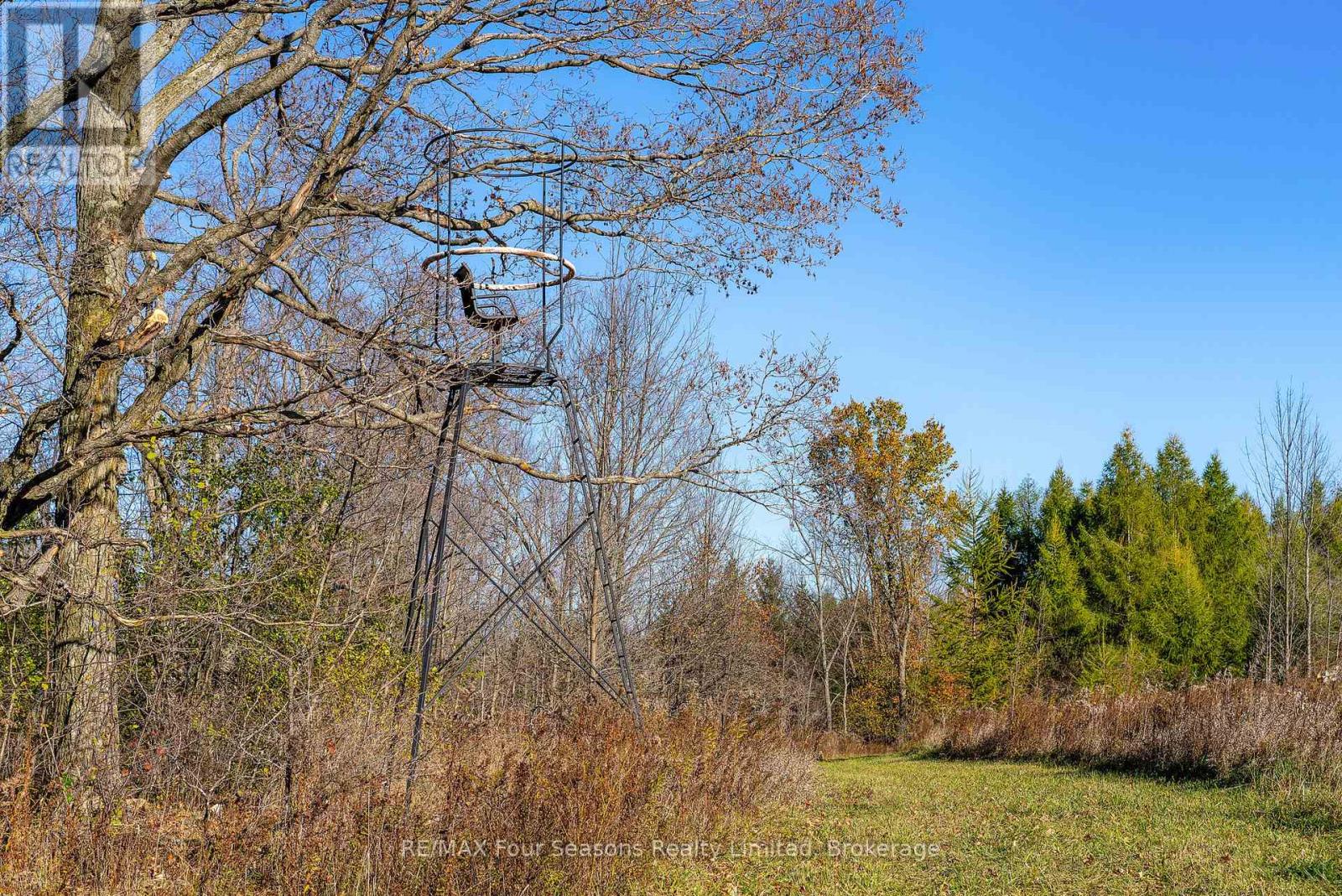 627174 Grey Road 119, Grey Highlands, Ontario  N0H 1J0 - Photo 32 - X12598952