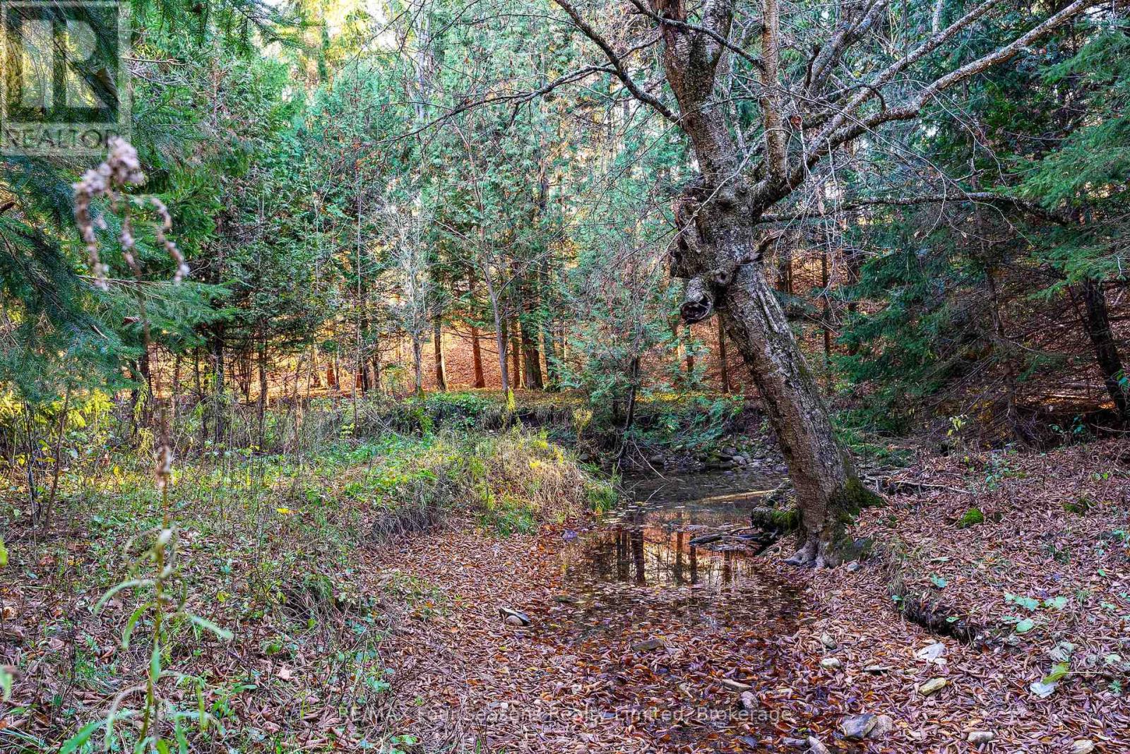 627174 Grey Road 119, Grey Highlands, Ontario  N0H 1J0 - Photo 34 - X12598952