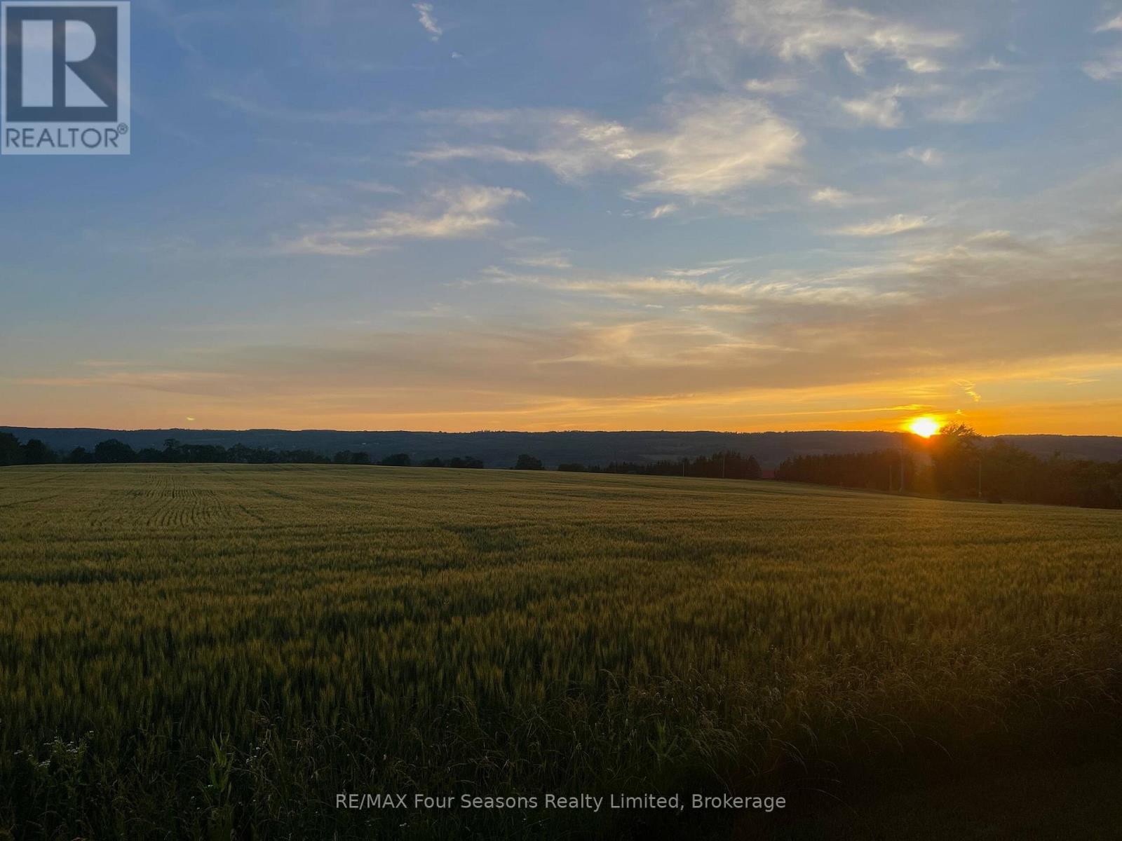 627174 Grey Road 119, Grey Highlands, Ontario  N0H 1J0 - Photo 49 - X12598952