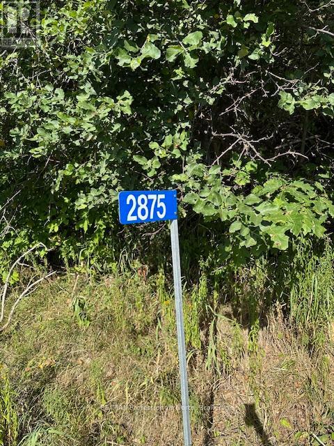 2875 County Road 21 Road, Minden Hills, Ontario  K0M 2K0 - Photo 1 - X12599098